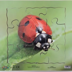 Insect Layered Life Cycle Jigsaw Puzzles 4pk
