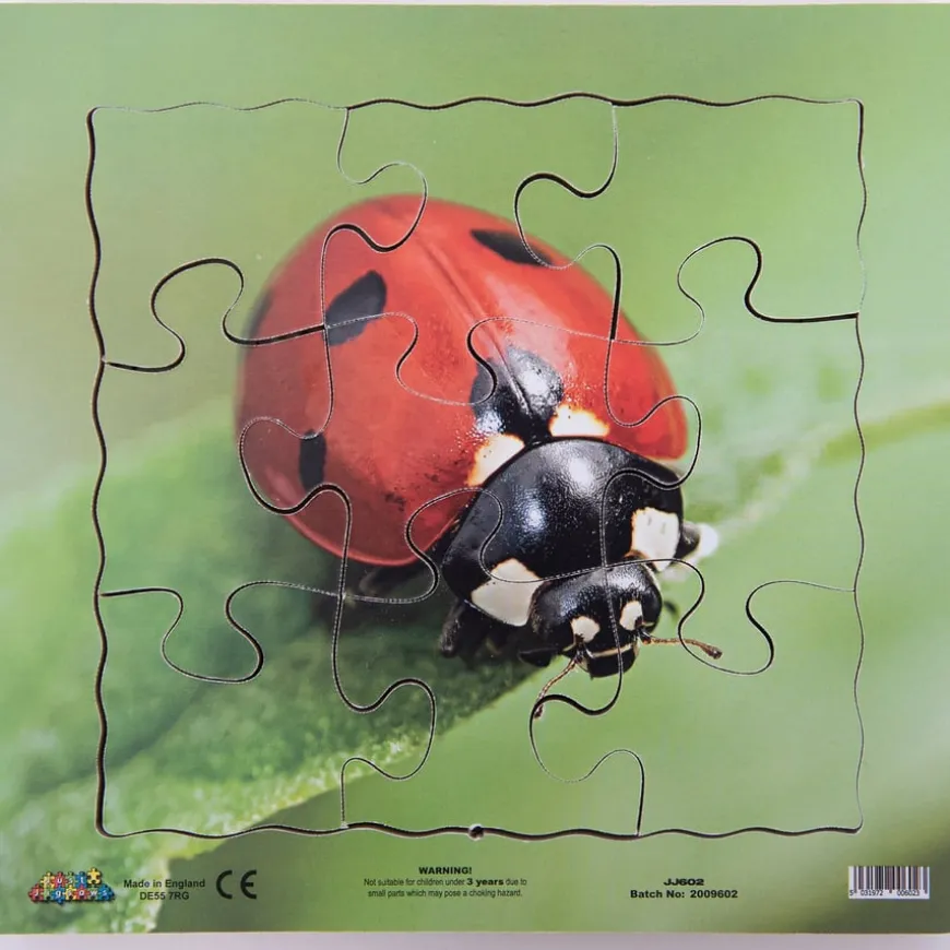 Insect Layered Life Cycle Jigsaw Puzzles 4pk