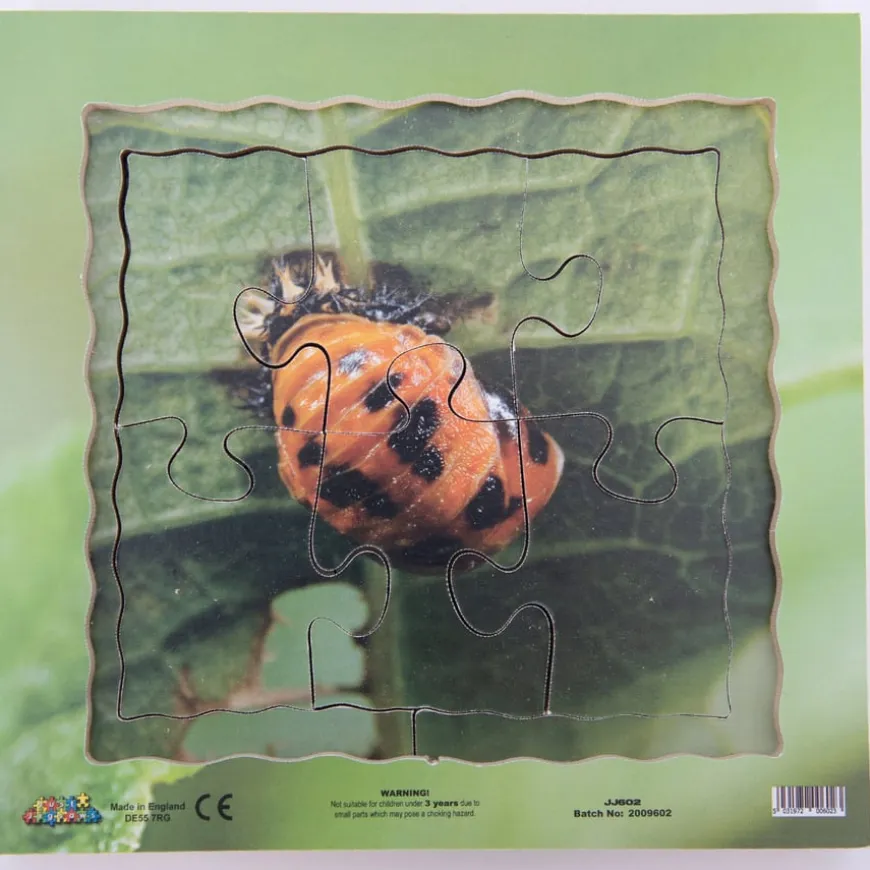 Insect Layered Life Cycle Jigsaw Puzzles 4pk
