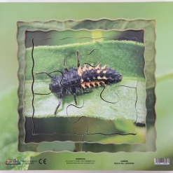 Insect Layered Life Cycle Jigsaw Puzzles 4pk