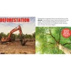 KS1 and KS2 Environmental Issues Books 17pk