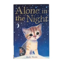 KS2 Fiction Books 25pk