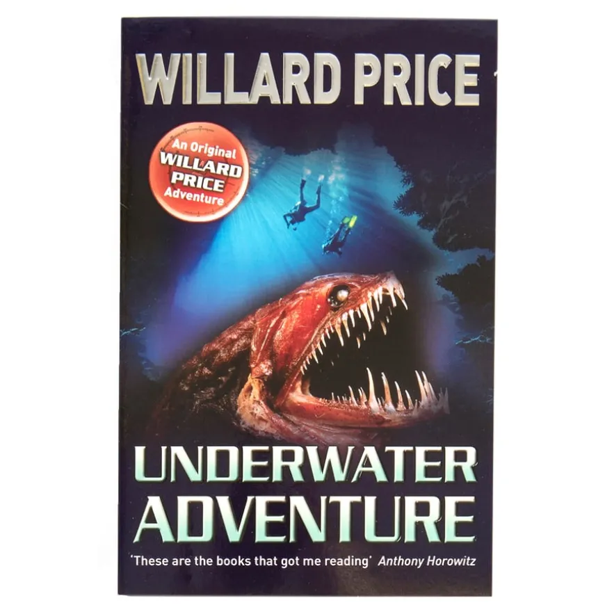 KS2 Fiction Books 25pk