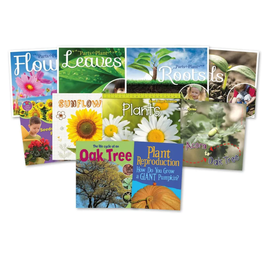KS1 Plant Life Cycle Books 10pk