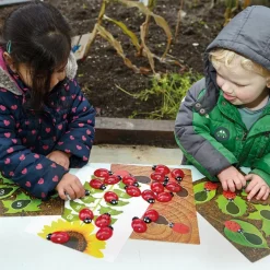 Ladybird Counters and Cards