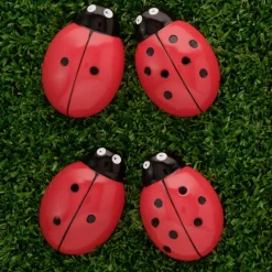 Ladybird Counters and Cards