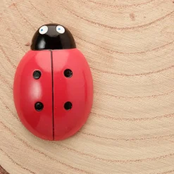 Ladybird Counters and Cards