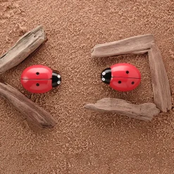 Ladybird Counters and Cards