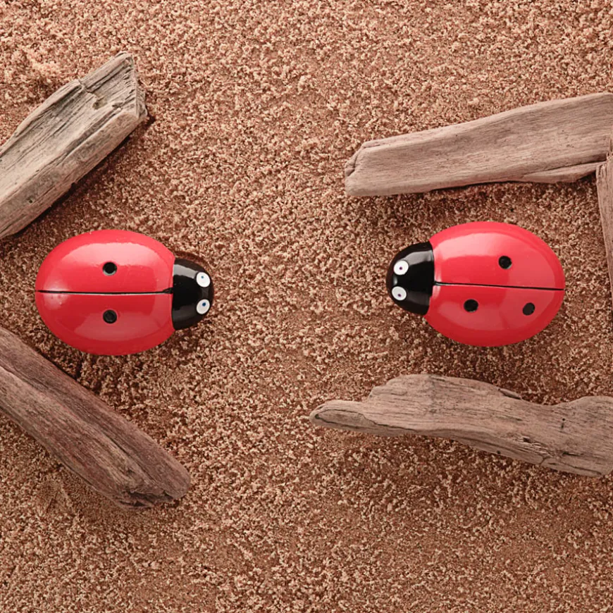 Ladybugs Counting Stones 22pk