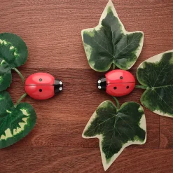 Ladybugs Counting Stones 22pk