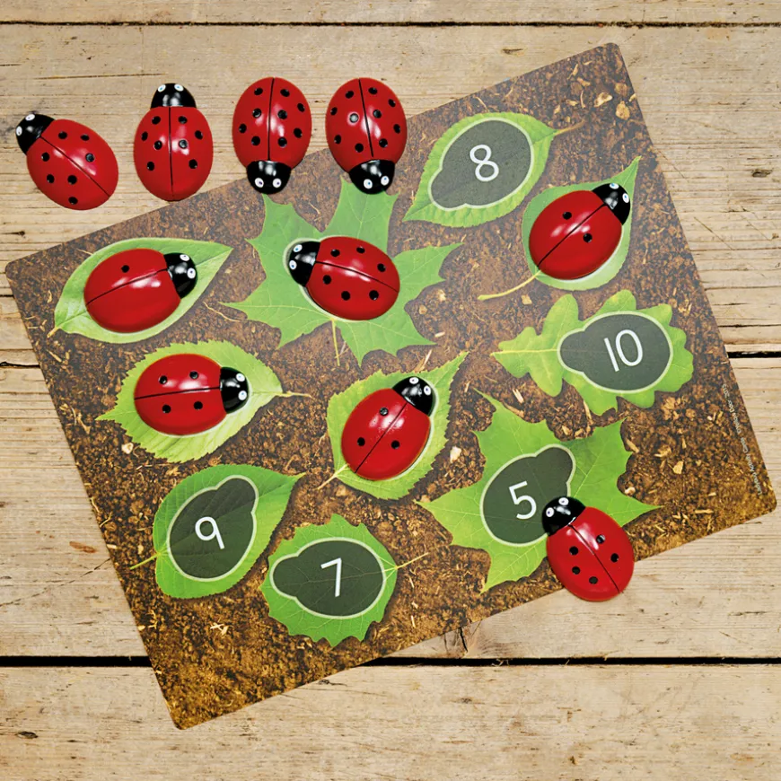 Ladybugs Counting Stones 22pk