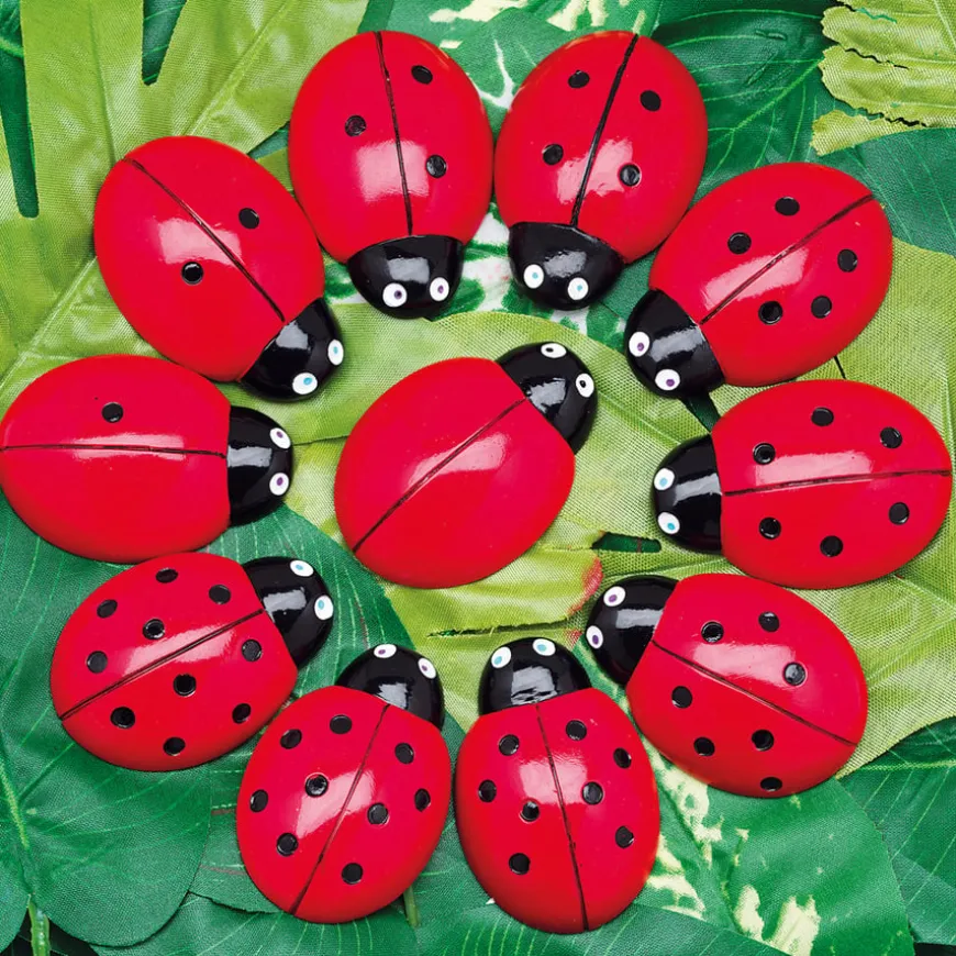 Ladybugs Counting Stones 22pk