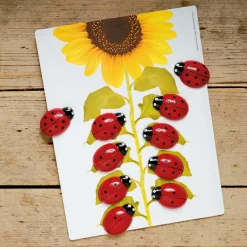 Ladybugs Counting Stones 22pk