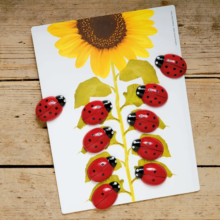 Ladybugs Counting Stones 22pk