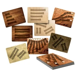 Large Dinosaur Bones Match and Measure Bones Set