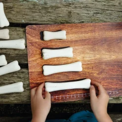 Large Dinosaur Bones Match and Measure Bones Set