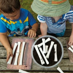 Large Dinosaur Bones Match and Measure Bones Set
