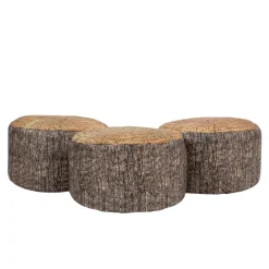 Learn about Nature Tree Stump Seat