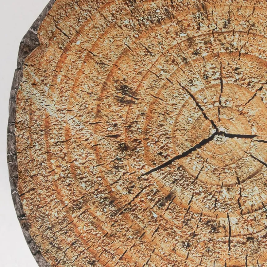 Learn about Nature Tree Stump Seat