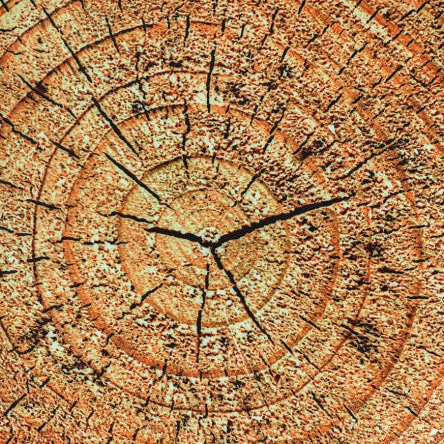 Learn about Nature Tree Stump Seat