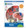 Learning Resources Complete Anatomy Models