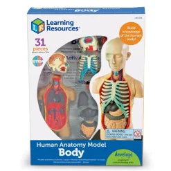 Learning Resources Complete Anatomy Models