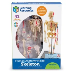 Learning Resources Complete Anatomy Models