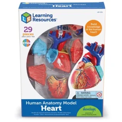 Learning Resources Complete Anatomy Models