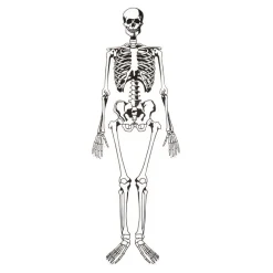 Learning Resources Foam Skeleton Floor Puzzle