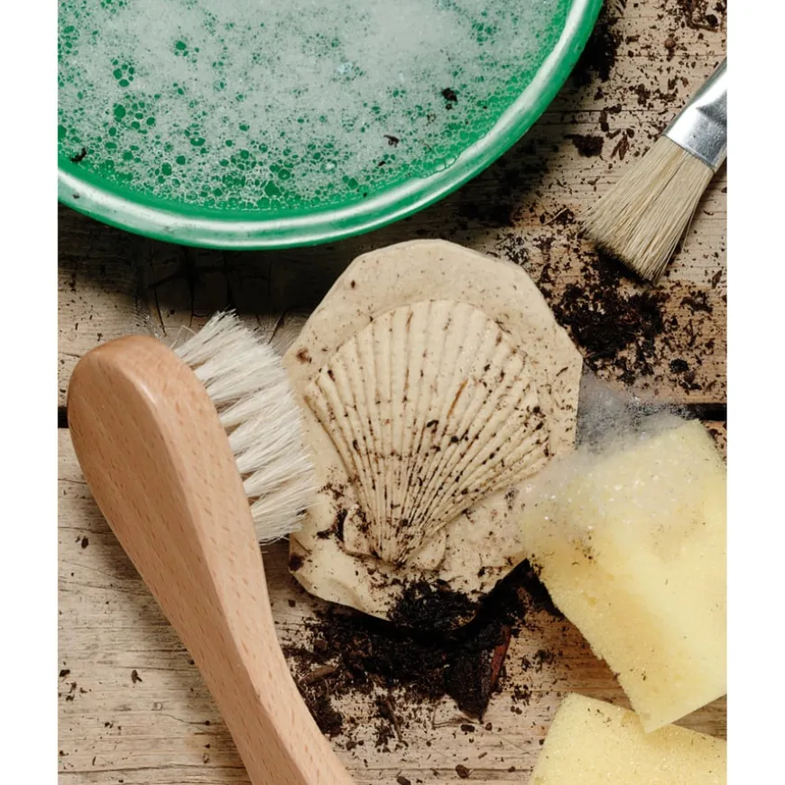 Let's Investigate Fossils 8pcs