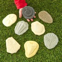 Let's Investigate Fossils 8pcs