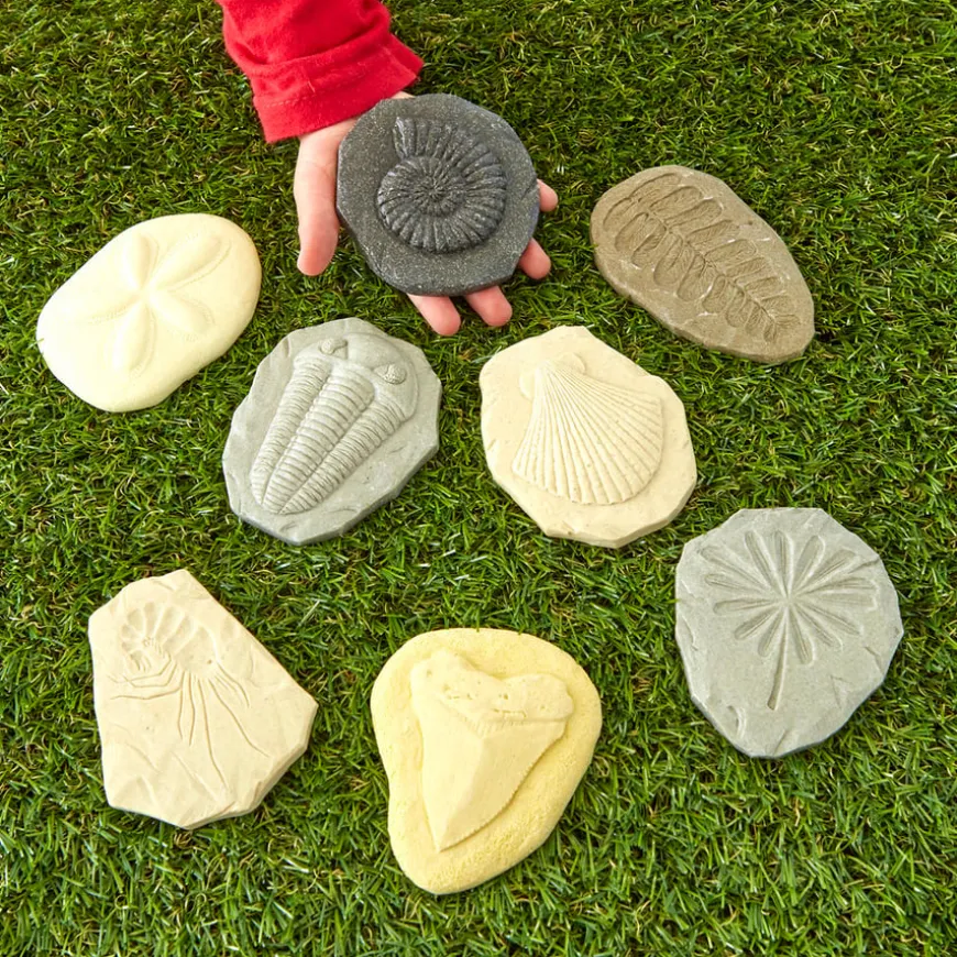 Let's Investigate Fossils 8pcs