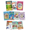 Level 12 Brown Book Bands 20pk