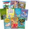 Level 13 Grey Band Booster Books 10pk