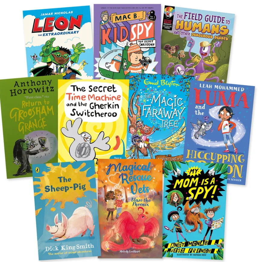 Level 13 Grey Band Booster Books 10pk