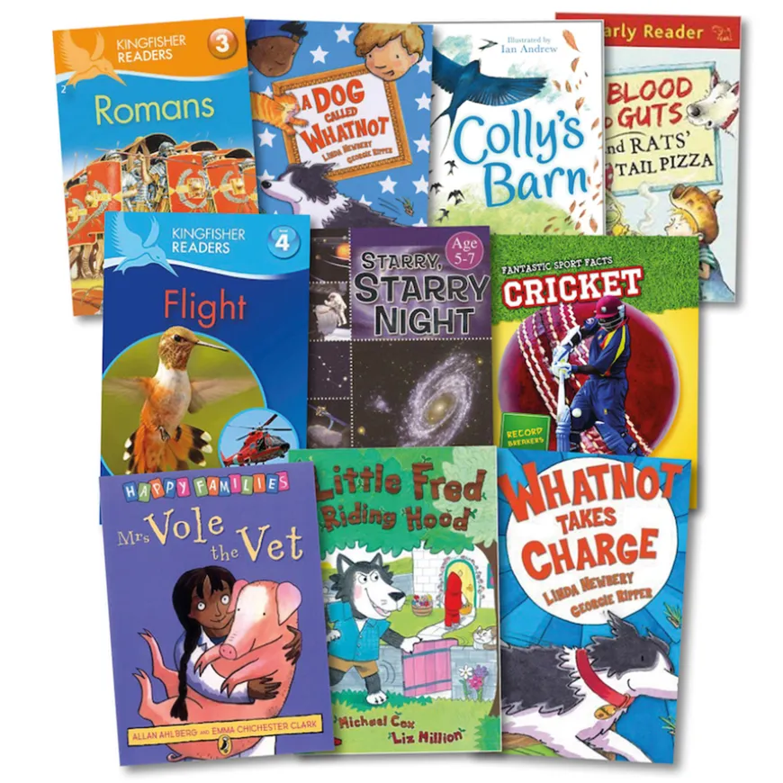 Level 10 White Book Band Booster Books 10pk