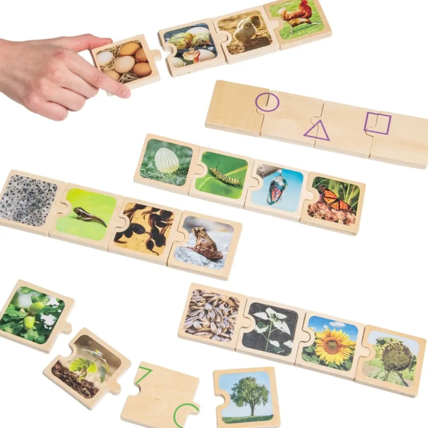 Life Cycles Puzzle 6pk