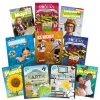 Lime Non-Fiction Book Bands Level 11 10pk