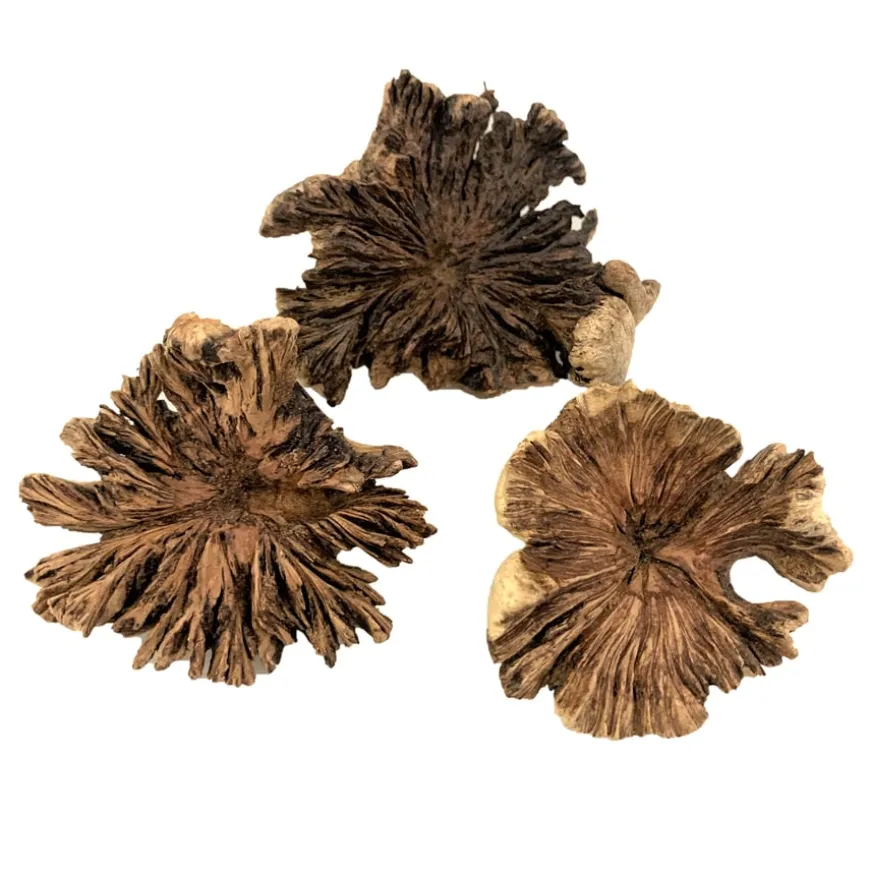 Loose Parts Natural Wood Roses 3pk