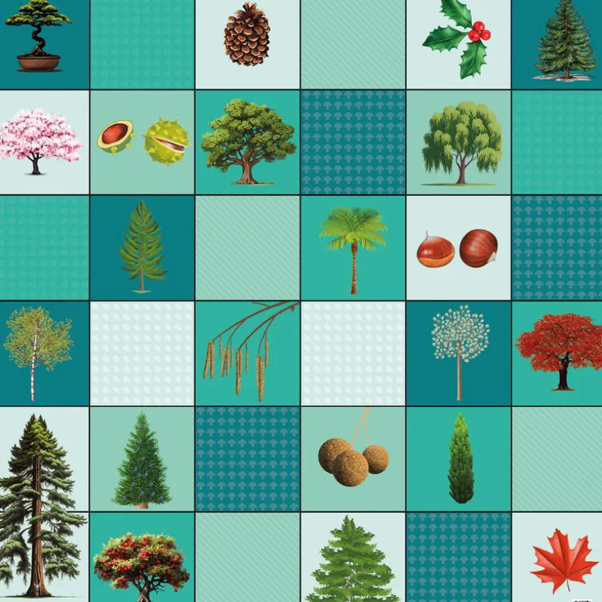 Loti-Bot Mat - Trees