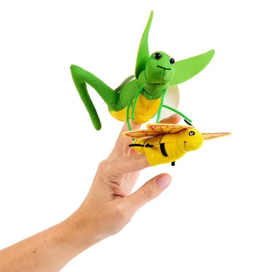 Mad about Minibeasts Vocabulary Bag