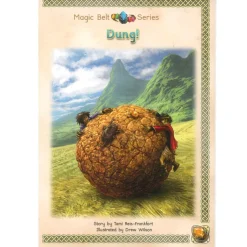 Magic Belt Series Catch Up Reading Decodable Books 12pk