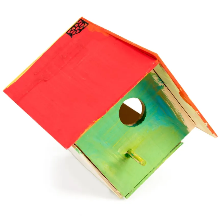 Make Your Own Birdhouse 12pk