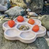 Natural Flower Sorting Tray