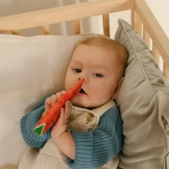 Natural Rubber Toddler Fruit & Veg Chewables