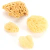 Natural Sea Sponge Variety Pack 4pk