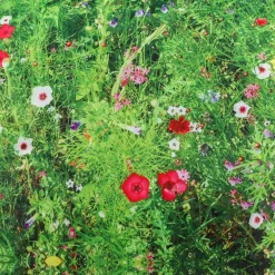 Nature Printed Children's Bean Bag