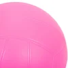 Non-Sting Volleyball