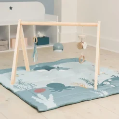 Ocean Collection Baby Activity Gym & Accessories