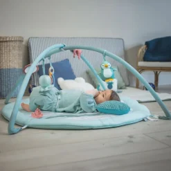 Ocean Collection Baby Playmat with Arch